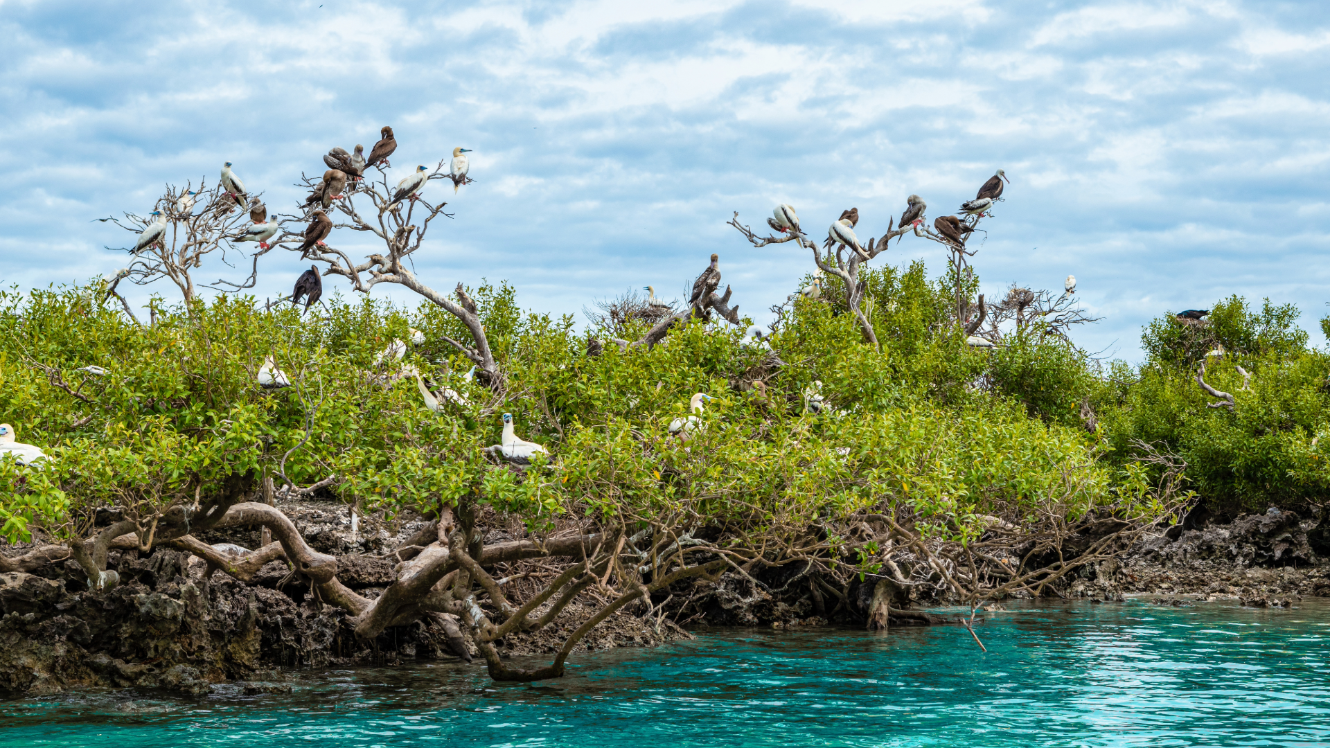 Barbuda