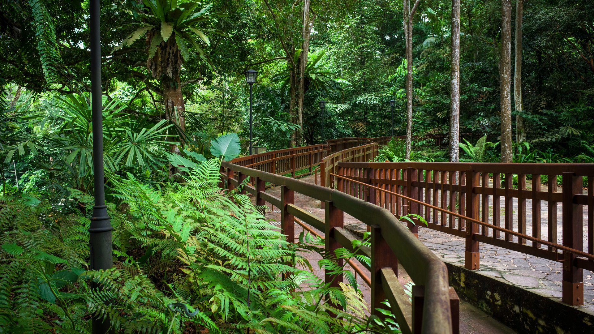 Bukit Timah Nature Reserve
