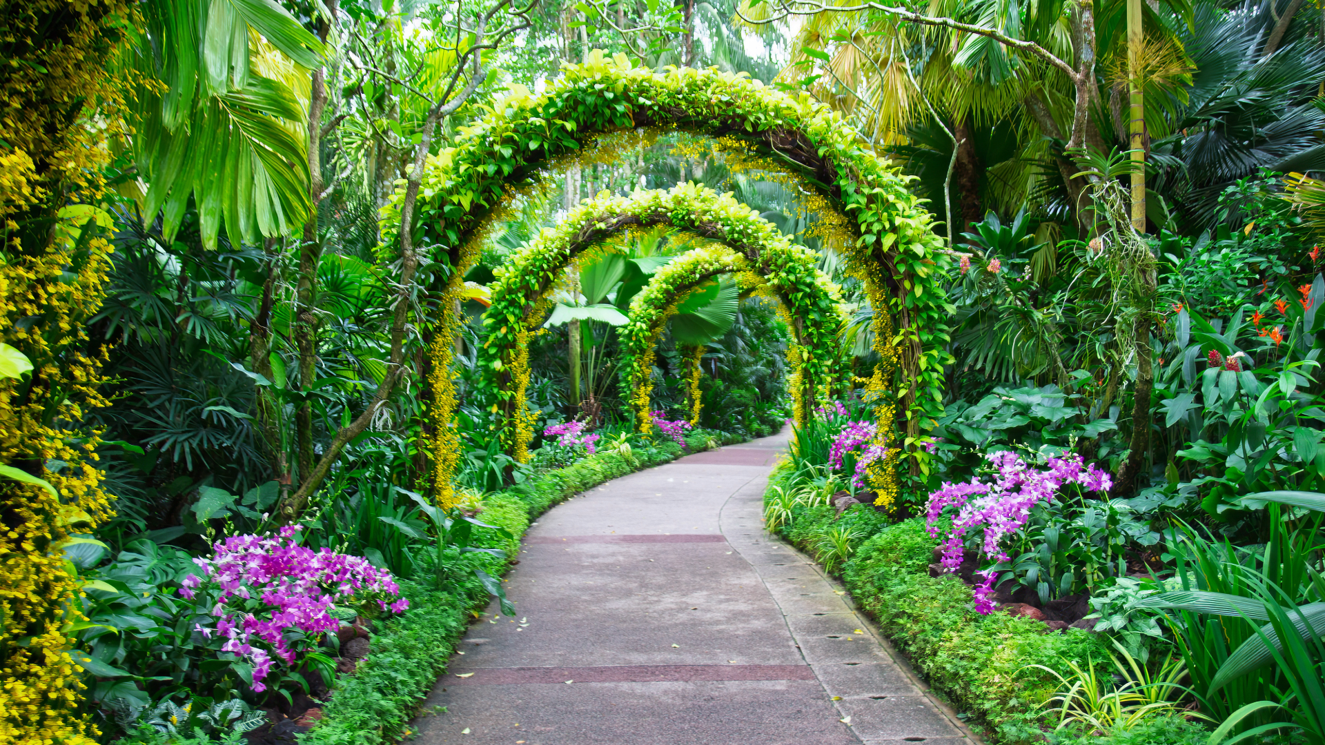 Singapore Botanic Gardens