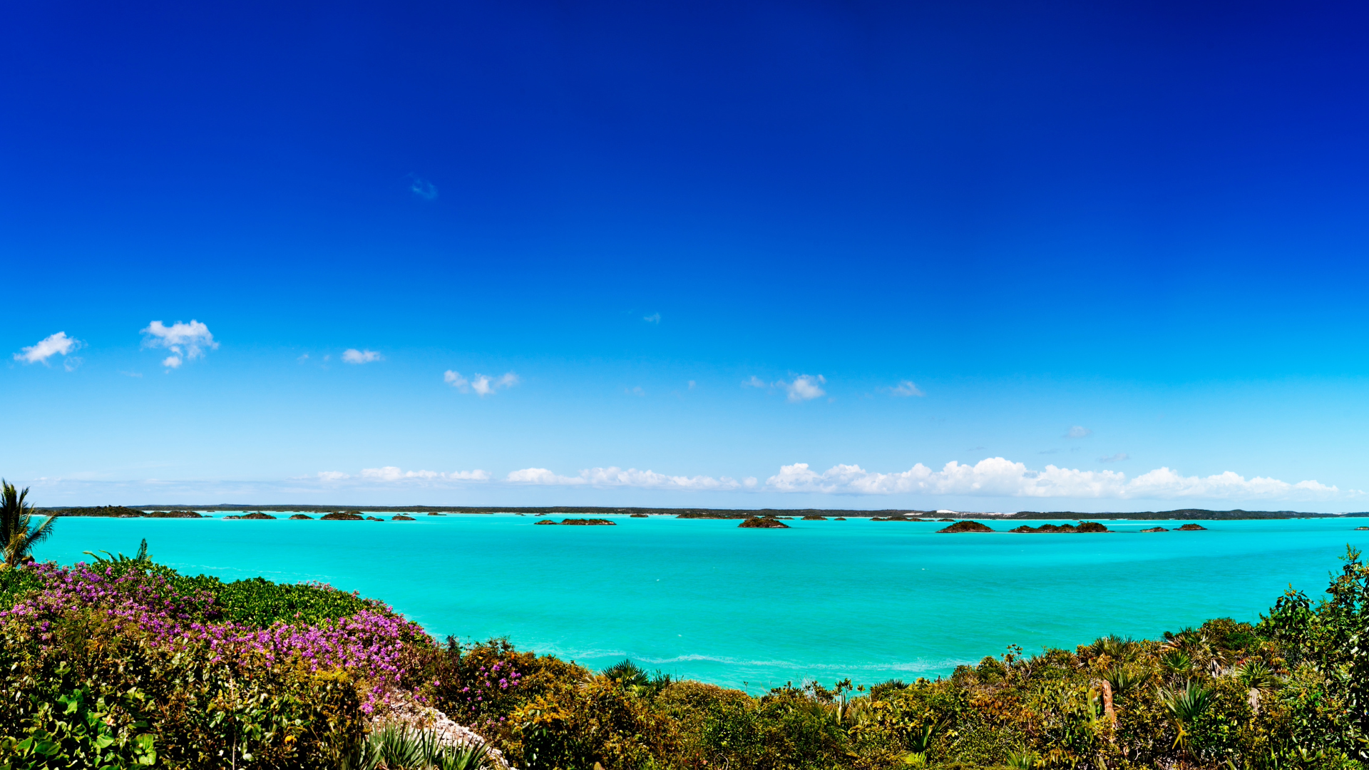 Parrot Cay